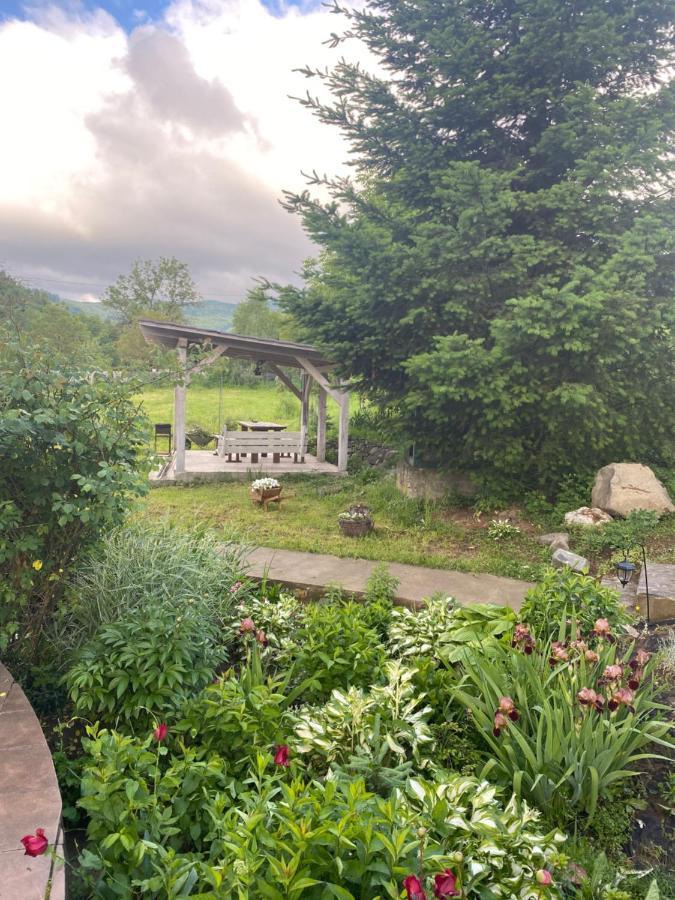 Holiday Home Usadba Novoselitsa Luaran gambar