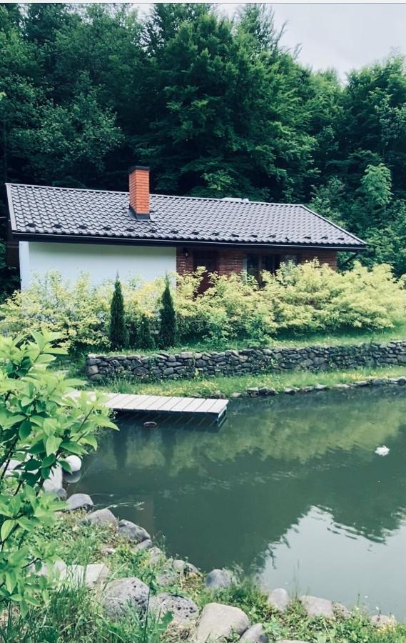 Holiday Home Usadba Novoselitsa Luaran gambar