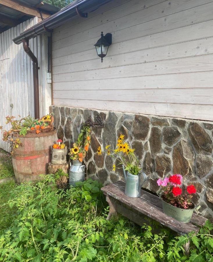 Holiday Home Usadba Novoselitsa Luaran gambar