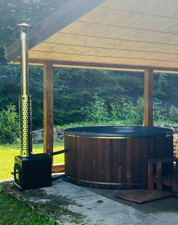 Holiday Home Usadba Novoselitsa Luaran gambar