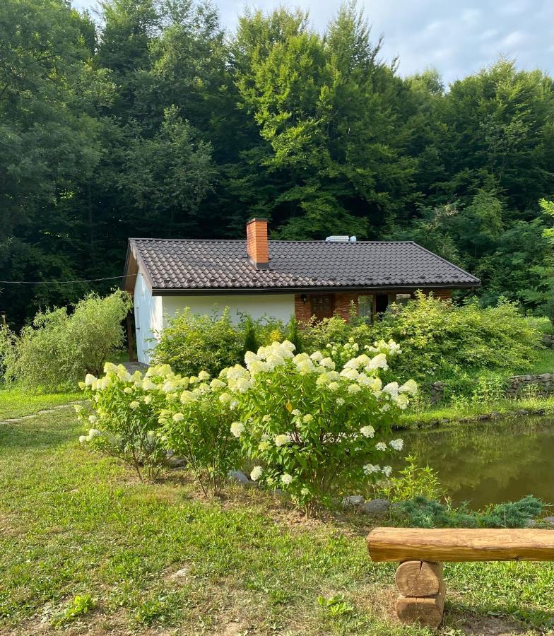 Holiday Home Usadba Novoselitsa Luaran gambar