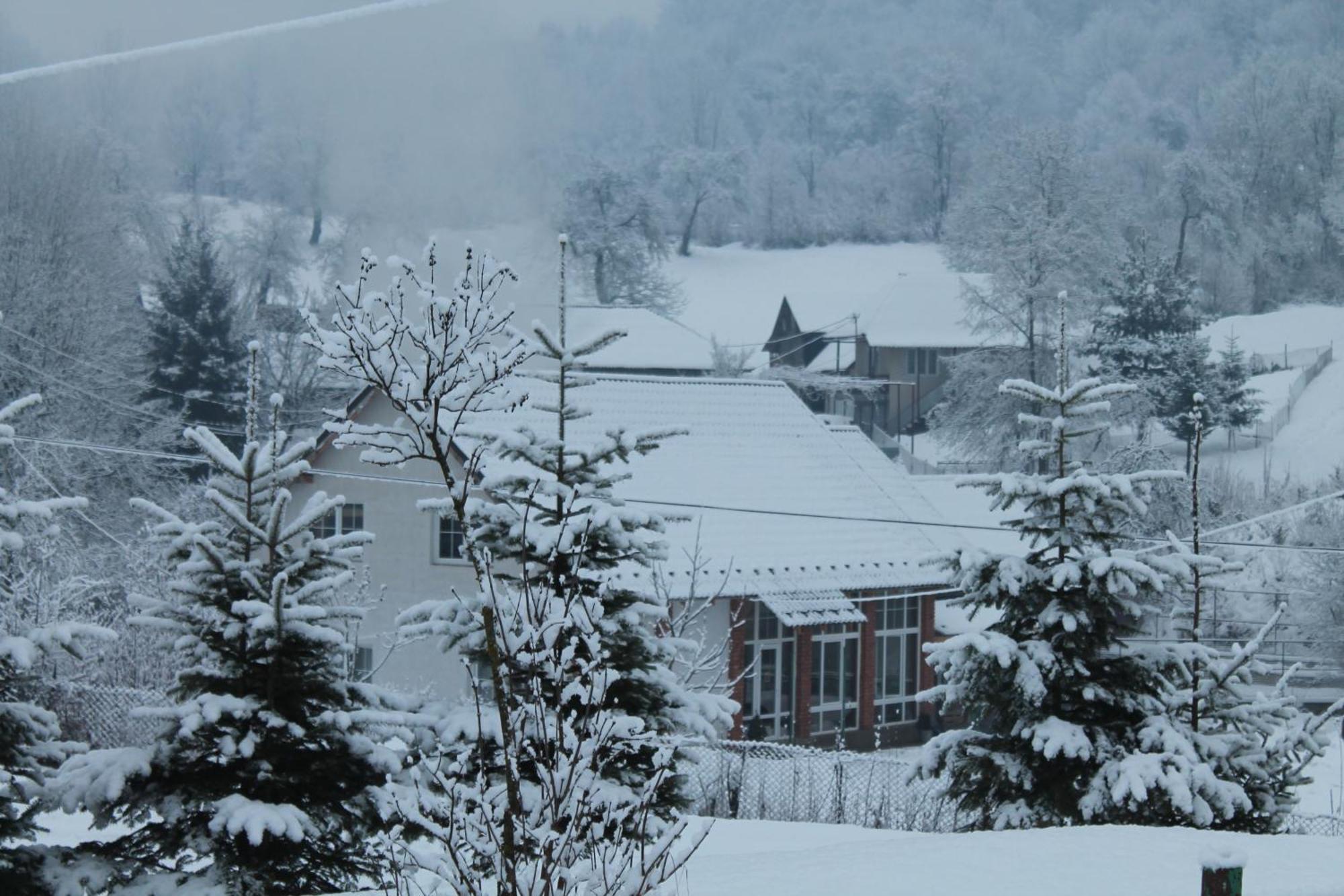 Holiday Home Usadba Novoselitsa Luaran gambar