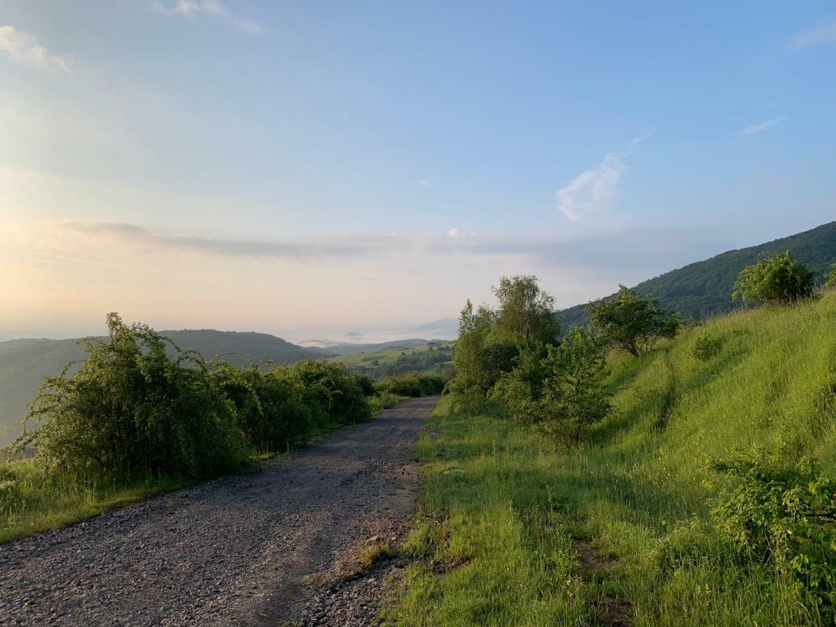 Holiday Home Usadba Novoselitsa Luaran gambar